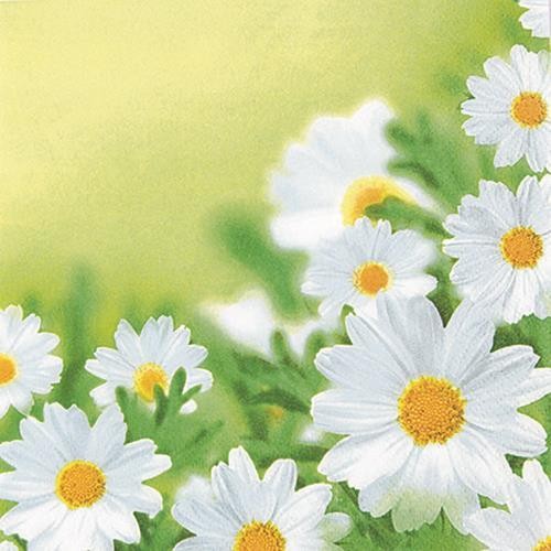 20 Servietten White daisies - Hübsches Margeritenfeld 33x33cm
