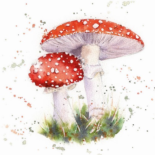 20 Napkins Painted Fly Agaric - Painted toadstool pair 33x33cm