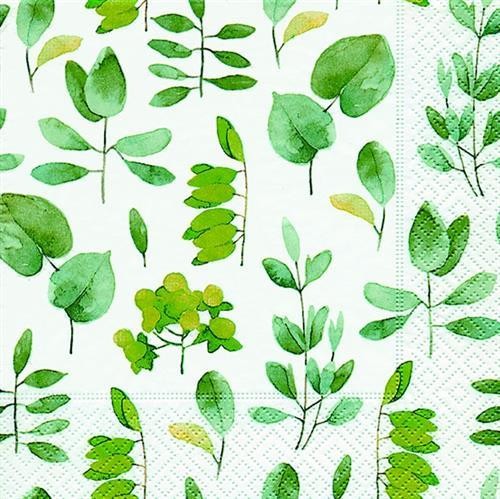 20 Servietten Fresh Leaves – Frische, grüne Blätter 33x33cm
