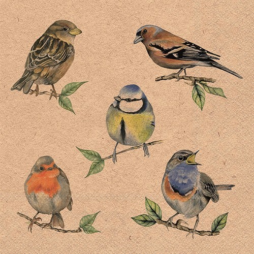 20 napkins made from 80% recycled paper Eco Bird Species natural - Birds from home 33x33cm