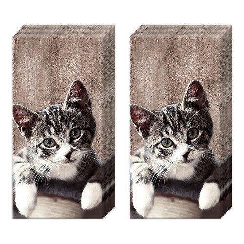 2x 10 handkerchiefs Casimir - Natural Cat