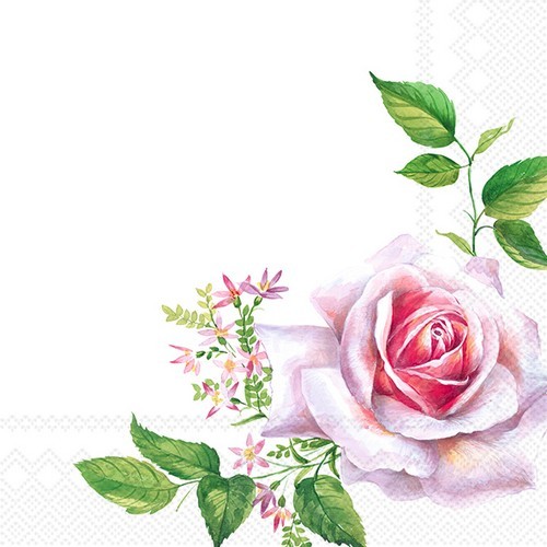 20 Napkins Valerie - Single rose on white 33x33cm