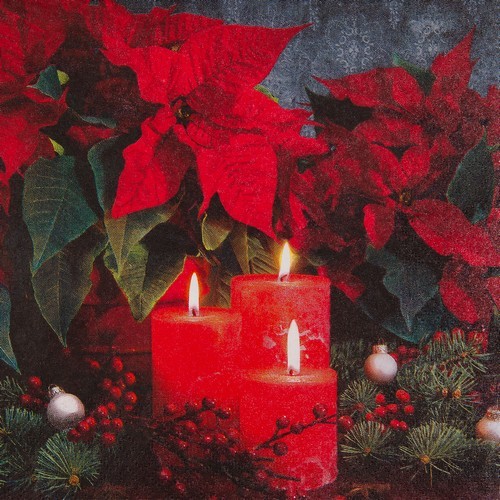20 Servietten Candlelight Poinsettia - Weihnachtsstern im Kerzenlicht 33x33cm