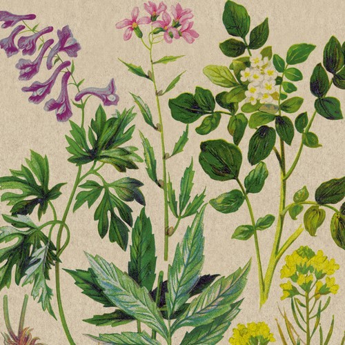 25 napkins sustainable Botanical Pattern - Natural Botany 33x33cm