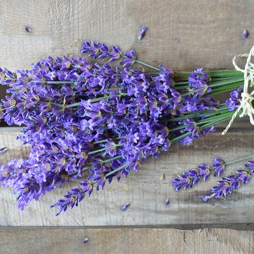 20 Servietten Natural Lavender - Natürlicher Lavendelstrauß 33x33cm
