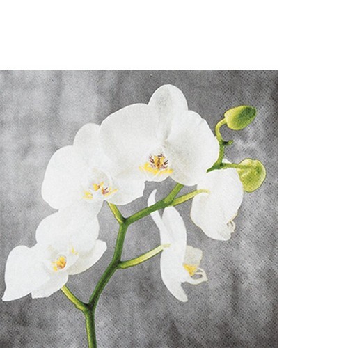 20 kleine Cocktailservietten White Orchid - Weiße Orchidee 25x25cm