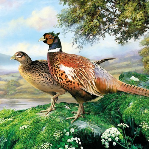 20 Servietten Pheasant - Fasane in der Natur 33x33cm