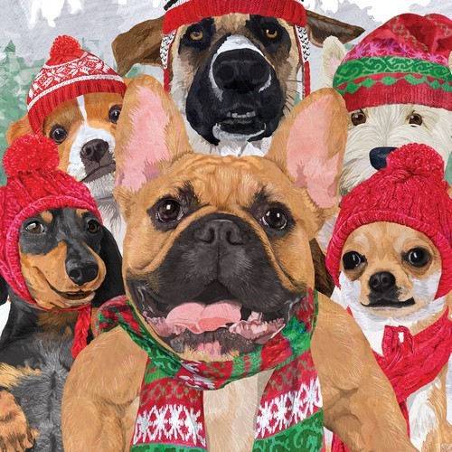 20 Servietten Dog Usie - Hundewelt in Winterkleidung 33x33cm