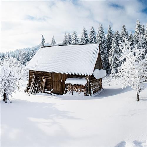 20 Servietten Winter Cabin - Holzhütte im Winterwald 33x33cm