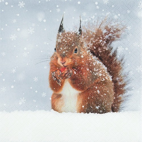 20 Servietten Snowy Squirrel 33x33cm