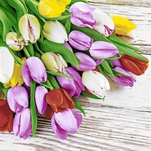 20 Cocktailservietten Bunch of Tulips – Tulpenstrauß auf Holz 24x24cm