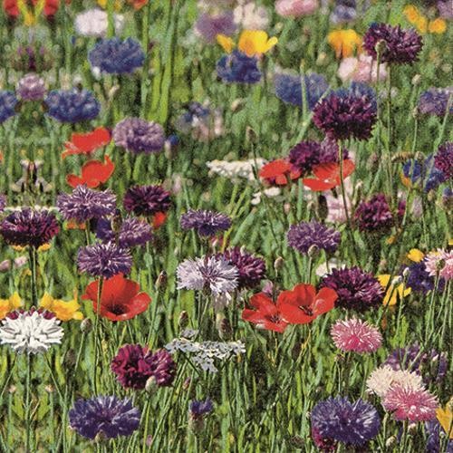 20 Servietten Flower Field - Buntes Blumenfeld 33x33cm