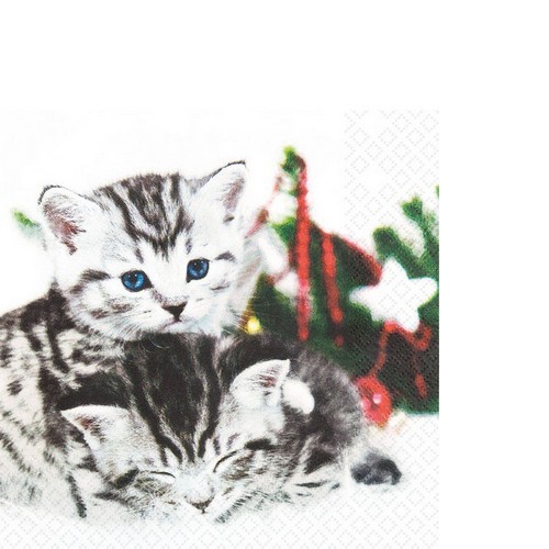 20 kleine Cocktailservietten Christmas Cats - Süßes Katzenpaar 25x25cm