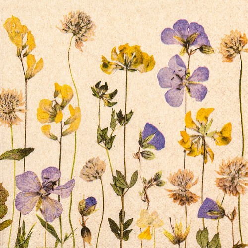 20 Servietten nachhaltig Pressed Flowers - Blumenwiese Öko 33x33cm