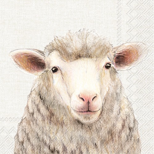 20 napkins Farm Sheep - Single sheep 33x33cm