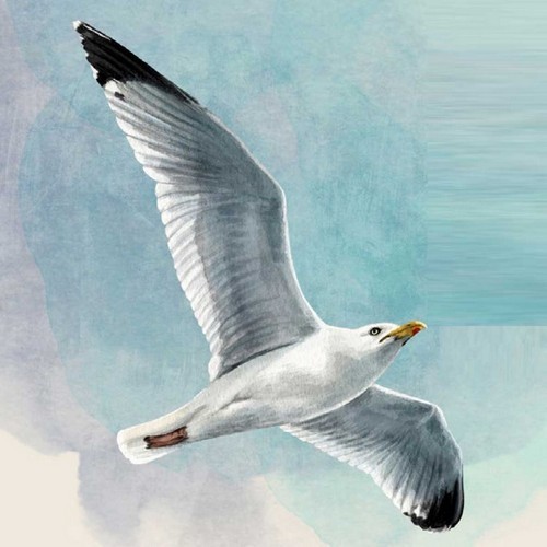 20 Servietten Seagull - Möwe am Himmel 33x33cm