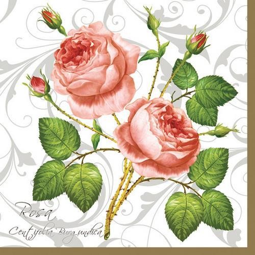 20 Servietten Rosa Centifolia White – Rosa Rosen mit Blätter 33x33cm