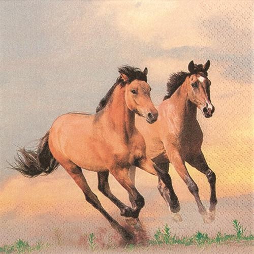 20 Servietten Wild Horses - Wilde Pferde 33x33cm