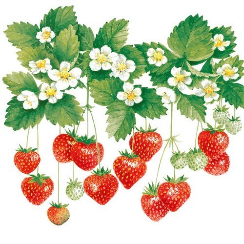 20 napkins Summer Fruits - Hanging strawberries 33x33cm