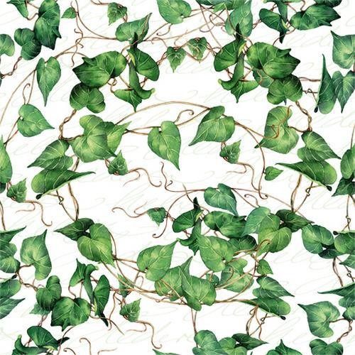 20 Servietten Green Ivy Branches - Natürliche Efeublätter 33x33cm