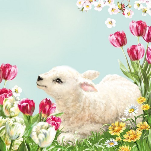 20 Servietten Lamb on Flower Meadow - Klamm an Frühlingsblumen 33x33cm