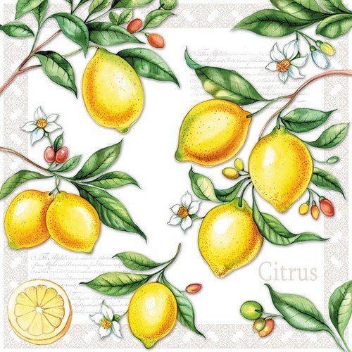 20 napkins Citrus - Lemon twigs 33x33cm