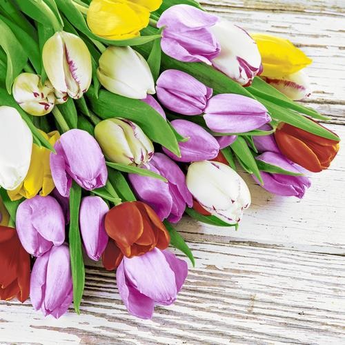 20 Napkins Bunch of Tulips - bouquet of tulips on wood 33x33cm