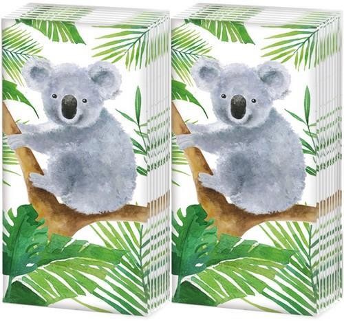 IHR Taschentücher Tropical Koala Bear