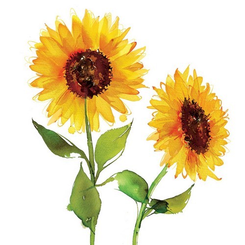 20 Servietten Two Sunflowers - Zwei Sonnenblumen 33x33cm