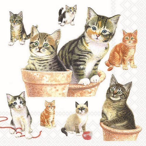 20 Servietten Cute Kittens - Viele, süße Katzen 33x33cm
