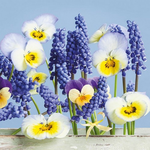 20 Servietten Blue Spring Story - Blaue Frühlingsblumen 33x33cm