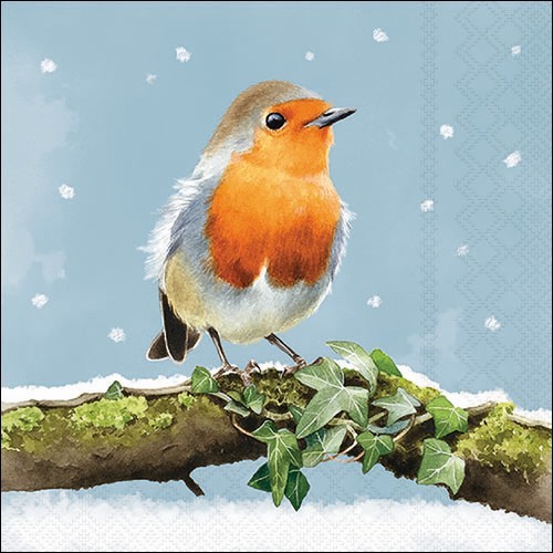 20 Servietten Robin on Branch - Rotkehlchen auf Ast mit Blätter 33x33cm