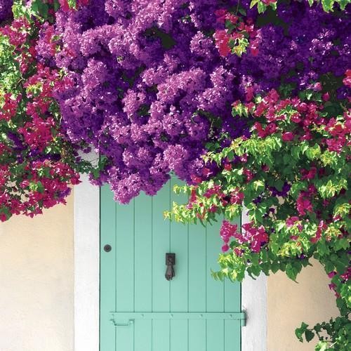 20 Servietten Summer Vibes - Tür voller Blumen 33x33cm