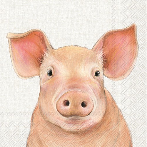20 Servietten Farm Pig - Einzelnes Schwein 33x33cm