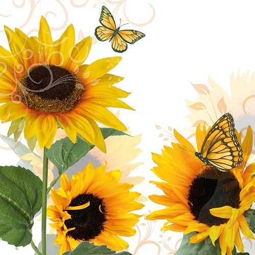 20 Servietten Sunny Butterfly - Schmetterlinge an großen Sonnenblumen 33x33cm