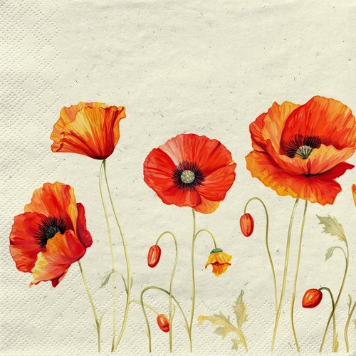 20 napkins sustainable grass Poppies on Grass - Beautiful poppies 33x33cm