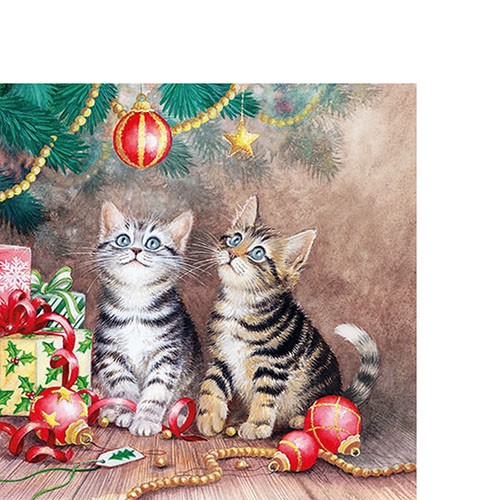 20 kleine Cocktailservietten Magic of Christmas - Katzen bewundern den Weihnachtsbaum 25x25cm
