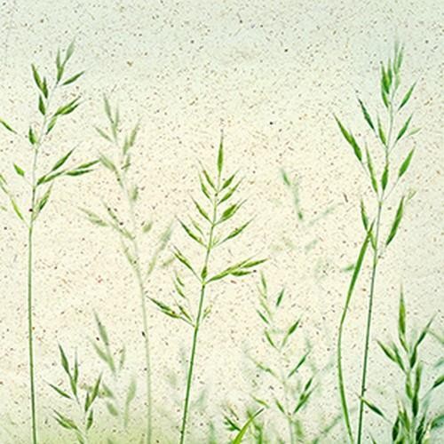 20 Servietten Sommerbrise natur - Wachsende Gräser 33x33cm