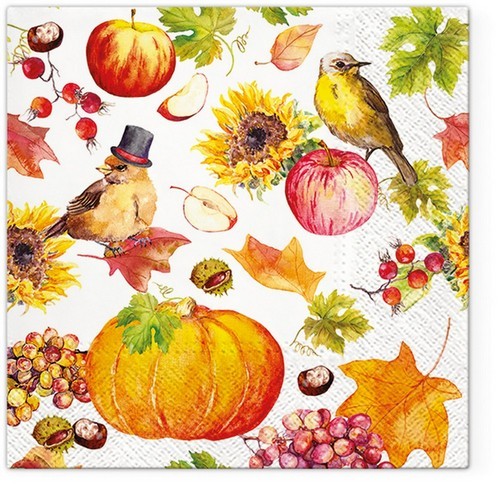 20 Servietten Pumpkin Land - Vögel an Herbsterzeugnisse 33x33cm