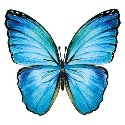 20 Servietten Butterfly - Blauer Schmetterling 33x33cm