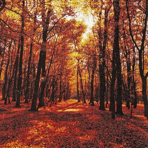 20 Servietten Autumn Forest - Sonniger Herbstwald 33x33cm