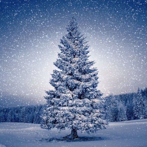 20 Magic Tree napkins - Glorious winter tree 33x33cm