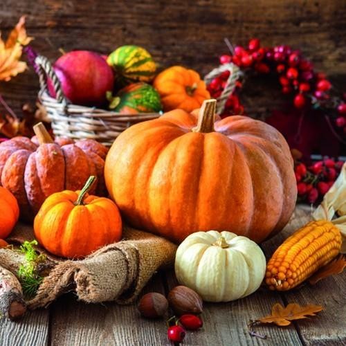 20 Servietten Thanksgiving Still Life – Ernte von Kürbisse 33x33cm