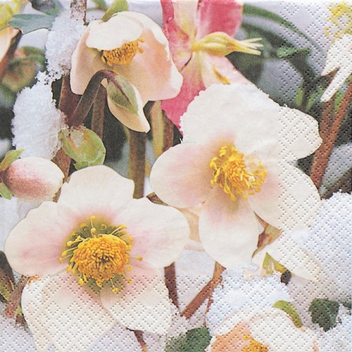 20 Servietten Snow Roses - Schneerosen 33x33cm