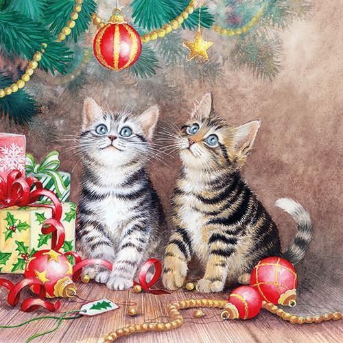 20 Servietten Magic Of Christmas - Katzen bewundern den Weihnachtsbaum 33x33cm