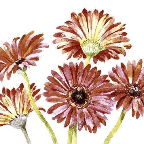 20 Servietten Gerbera Art 33x33cm