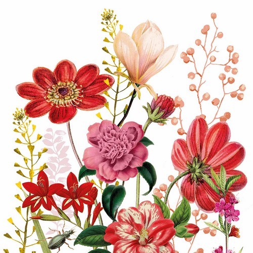 20 Servietten Floria - Rote Blumen in Sommerwiese 33x33cm