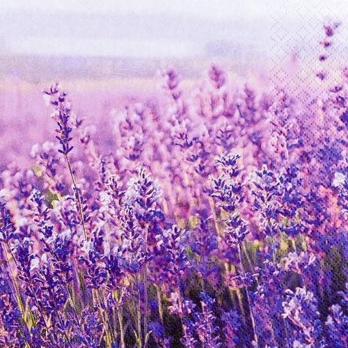 20 Servietten Field of Lavender - Feld an Lavendel 33x33cm
