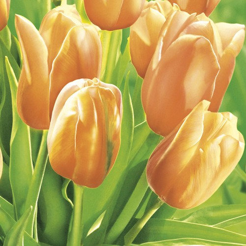 20 Servietten Fresh Sunny Tulips – Gelbe, frische Tulpen 33x33cm