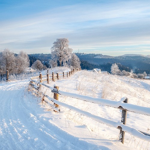 20 Servietten Winter Walk - Winterweg 33x33cm